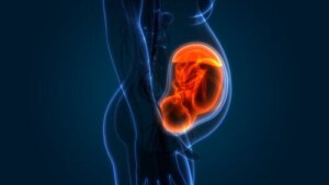 The Grades of Placenta Maturity