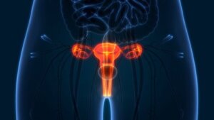 How to Check Your Cervix?