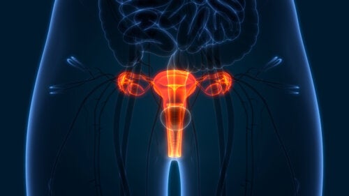 How to Check Your Cervix?