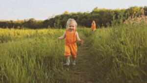 Origin and Meaning of the Name Ava
