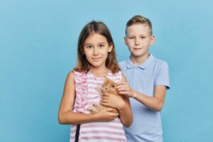 13 Games for Children and Pets