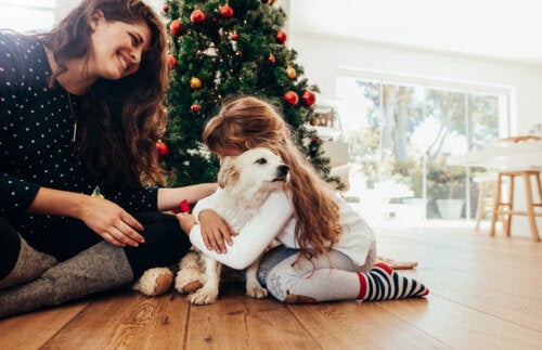 What to Consider Before Giving a Pet to Your Children?