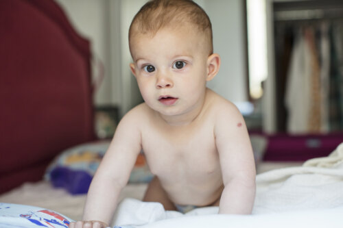 What Are the Wonder Weeks for Babies?