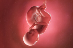 38th Week of Pregnancy: Symptoms, the Baby's Development, and Recommendations