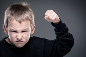 The Causes of Childhood Aggression
