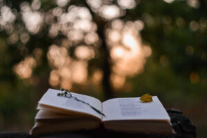 The Benefits of Poetry for Teenagers