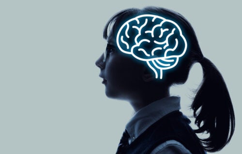 Neuromyths in Education: How Do They Affect Learning?