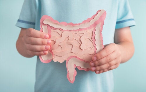 Tips to Restore Intestinal Flora in Children
