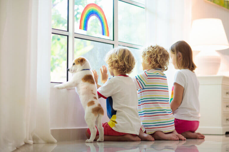 5 Safe Windows for Homes with Children