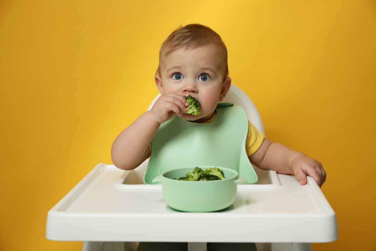 8 Myths Regarding Complementary Feeding