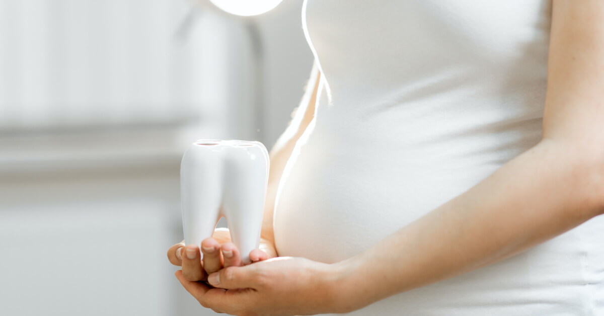 A pregnant holding a model of a molar.